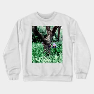 Purple Iris flower under a tree Crewneck Sweatshirt